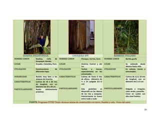 GUADUA ANGUSTIFOLIA  CHUSQUE  SPP. A BAMBUSA VULGARIS 
NOMBRE COMUN  Guadua,  Caña  de 
Guayaquil, Bambú.
NOMBRE COMUN Chusqu  Carrizo, Suro.e, NOMBRE COMUN Bambu,guafa
LUGAR  Ecuador, Colombia, Perú. LUGAR América  Central  y  del 
Sur.
LUGAR Se  extiende  desde 
México hasta chile. 
UTILIZACION  Construcciones  de 
diferentes tipos 
UTILIZACION UTILIZACIONTechos  y  muros,  En  soleras,  muros  y 
especialmente  en  los 
entramados.
entramados. 
DURABILIDAD  Resiste  muy  bien  a  los 
ataques de insectos.
CARACTERISTICAS
 
 
 
 
PARTICULARIDADES 
CARACTERISTICASCulmos  de  hasta  6  mts 
de  altura,    diámetro  de 
½  a  1½  pulgada  (0.1‐3 
cm) 
 
Esta  gramínea  se 
desarrolla en las riberas 
de  los  ríos  y  acequias.  
Interiormente  es  hueca 
entre nudo y nudo 
 
Culmos de 1,5 a 10 mts 
 
 
 
PARTICULARIDADES 
de  longitud,  con  un 
diámetro de 2 a 6 cm. 
 
 
Delgada  e  irregular, 
CARACTERISTICAS 
color verde y amarillo. 
Crece  en  suelos  con 
alto nivel freático 
 
Culmos  de  10  a  20  mts 
de  longitud,  con  un 
diámetro de 10 a 20 cm. 
PARTICULARIDADES  Nudos  relativamente 
próximos. 
FUENTE: Programa CYTED Titulo: técnicas mixtas de construcción con tierra /bambú y caña. ‐Fotos del autor
30
 