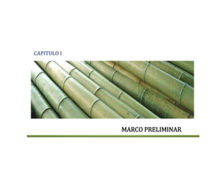 CAPITULO I 
MARCO PRELIMINAR
 