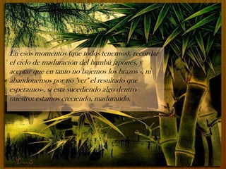 En esos momentos (que todos tenemos), recordar
el ciclo de maduración del bambú japonés, y
aceptar que en tanto no bajemos los brazos -, ni
abandonemos por no "ver" el resultado que
esperamos-, si está sucediendo algo dentro
nuestro: estamos creciendo, madurando.
 