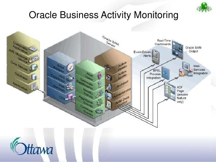 Oracle studio. Oracle fusion middleware. oracle студия.