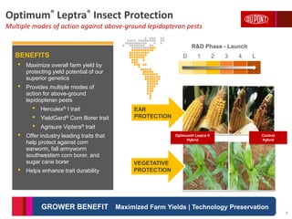 Optimum® Leptra® Insect Protection
Multiple modes of action against above-ground lepidopteran pests
BENEFITS
• Maximize overall farm yield by
protecting yield potential of our
superior genetics
• Provides multiple modes of
action for above-ground
lepidopteran pests
• Herculex® I trait
• YieldGard® Corn Borer trait
• Agrisure Viptera® trait
• Offer industry leading traits that
help protect against corn
earworm, fall armyworm
southwestern corn borer, and
sugar cane borer
• Helps enhance trait durability
Maximized Farm Yields | Technology PreservationGROWER BENEFIT
R&D Phase - Launch
D 1 2 3 4 L
EAR
PROTECTION
VEGETATIVE
PROTECTION
Control
Hybrid
Optimum® Leptra ®
Hybrid
9
 