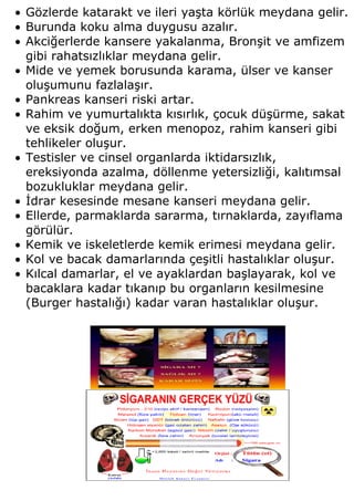 • Gözlerde katarakt ve ileri yaşta körlük meydana gelir.
• Burunda koku alma duygusu azalır.
• Akciğerlerde kansere yakalanma, Bronşit ve amfizem
  gibi rahatsızlıklar meydana gelir.
• Mide ve yemek borusunda karama, ülser ve kanser
  oluşumunu fazlalaşır.
• Pankreas kanseri riski artar.
• Rahim ve yumurtalıkta kısırlık, çocuk düşürme, sakat
  ve eksik doğum, erken menopoz, rahim kanseri gibi
  tehlikeler oluşur.
• Testisler ve cinsel organlarda iktidarsızlık,
  ereksiyonda azalma, döllenme yetersizliği, kalıtımsal
  bozukluklar meydana gelir.
• İdrar kesesinde mesane kanseri meydana gelir.
• Ellerde, parmaklarda sararma, tırnaklarda, zayıflama
  görülür.
• Kemik ve iskeletlerde kemik erimesi meydana gelir.
• Kol ve bacak damarlarında çeşitli hastalıklar oluşur.
• Kılcal damarlar, el ve ayaklardan başlayarak, kol ve
  bacaklara kadar tıkanıp bu organların kesilmesine
  (Burger hastalığı) kadar varan hastalıklar oluşur.
 