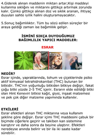 4.Giderek alınan maddenin miktarı artar;Kişi maddeyi
kullanma sıklığını ve miktarını gittikçe artırmak zorunda
kalır. Çünkü gittikçe alınan doz ve sıklık aranan, ihtiyaç
duyulan sahte iyilik halini oluşturamayacaktır.

5.Sonuç bağımlılıktır. Tüm bu sözü edilen süreçler bir
araya geldiği zaman ise bağımlılık gelişir.

            İSMİNİ SIKÇA DUYDUĞUMUZ
           BAĞIMLILIK YAPICI MADDELER:

                          ESRAR




NEDİR?
Esrar içinde, yapraklarında, tohum ve çiçeklerinde psiko
aktif kimyasal tetrahidrokanibal (THC) bulunan bir
bitkidir. THC'nin yoğunluğu bitkiden bitkiye değişir, fakat
çoğu bitki yüzde 2-5 THC içerir. Esrarın elde edildiği bitki
olan Hint Keneviri bitkisi kağıt, giysi, inşaat malzemesi
ve pek çok diğer malzeme yapımında kullanılır.


ETKİLERİ
Esrar efektleri alınan THC miktarına veya kullanım
şekline göre değişir. Esrar içimi THC maddesini çabuk bir
biçimde ciğerlere geçirir ve takiben kan sistemine
karıştırır ve daha sonra da beyine ulaştırır. Efektleri
neredeyse anında belirir ve bir ila iki saate kadar
sürebilir.
 
