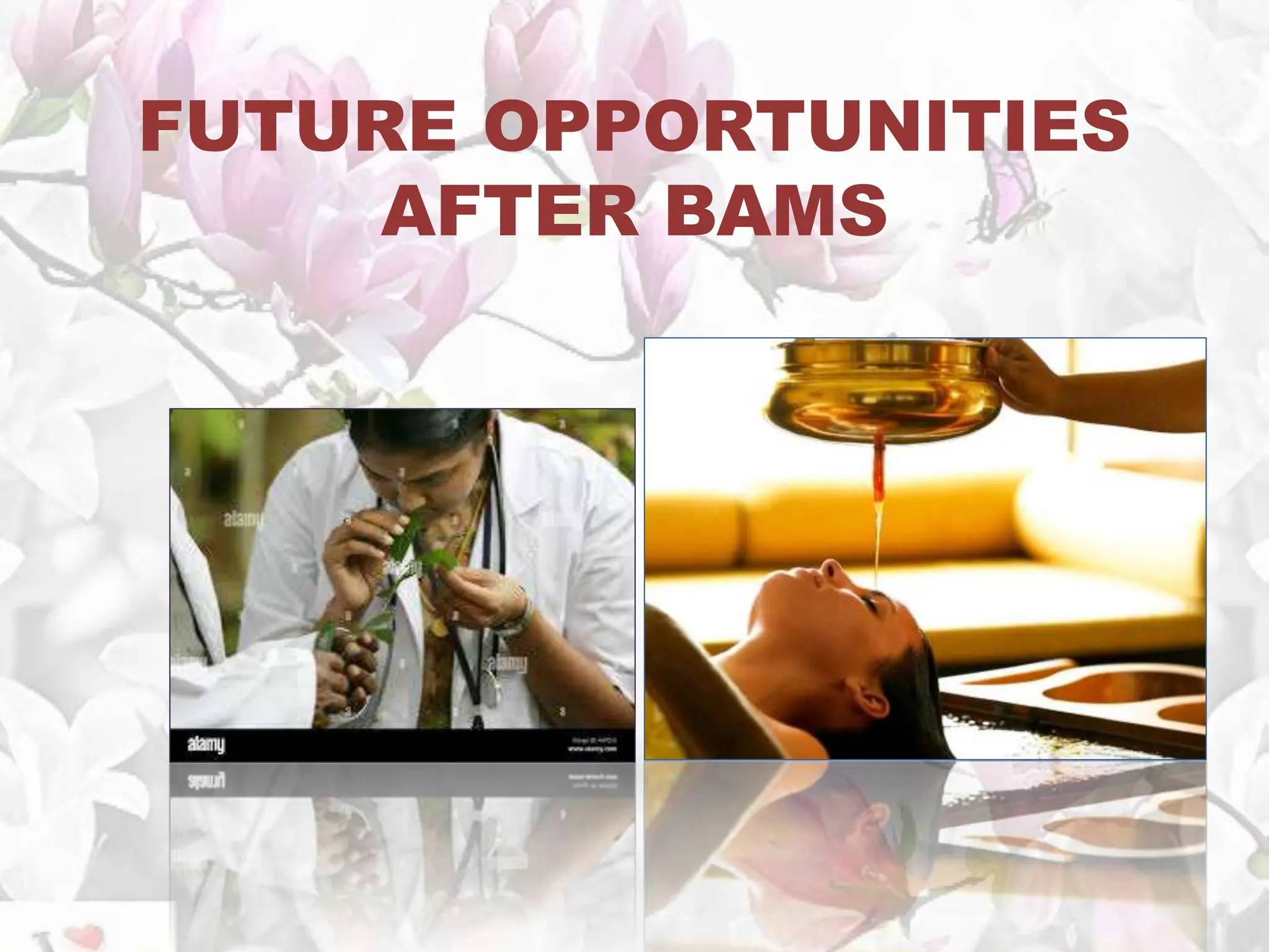 FUTURE OPPORTUNITIES
AFTER BAMS
 