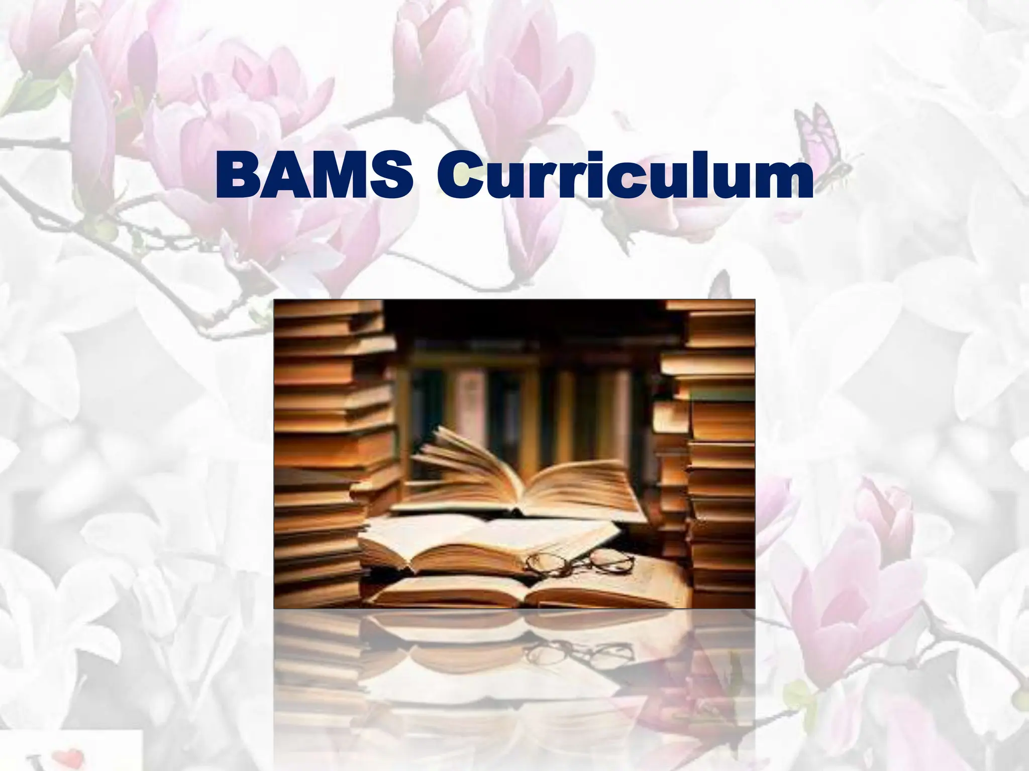 BAMS Curriculum
 