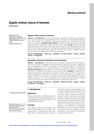 Banana protocol
Fruits, vol. 63 (2) 111
Zygotic embryo rescue in bananas.
Abstract –– Introduction. This protocol describes a method for obtaining in vitro germina-
tion of zygotic embryos from open-pollinated wild seedy bananas and controlled hybridiza-
tions. The principle, key advantages, starting plant material, time required and expected
results are presented. Materials and methods. This part describes the required laboratory
materials, medium preparation, embryo extraction and culture. Results. Embryos typically
begin germination in the dark about 15 days after inoculation on germinating medium. After
30––40 days of culture, plantlets are subcultured on a plant growth medium and placed in the
light to achieve plant growth and rooting. The ratios of zygotic embryos obtained vary with
the types of crosses achieved between Musa sp. genotypes.
France (Guadeloupe) / Musa sp. / methods / in vitro culture / seeds / embryo
culture / vitroplants
Sauvetage d'embryons zygotiques chez le bananier.
Résumé –– Introduction. Le protocole décrit une méthode qui permet d’obtenir la germina-
tion in vitro d’embryons zygotiques à partir de graines de bananiers sauvages en pollinisation
libre et d’hybridations contrôlées. Le principe, les principaux avantages de la méthode, le
matériel végétal de départ, le temps nécessaire et les résultats attendus sont présentés.
Matériel et méthodes. Cette partie décrit le matériel de laboratoire nécessaire, la préparation
des milieux et l'extraction des embryons ainsi que leur culture. Résultats. Typiquement, les
embryons amorcent leur germination à l’obscurité, 15 jours après leur mise en culture sur le
milieu de germination. Après (30 à 40) jours de culture, les plantules sont transférées à la
lumière et placées sur un milieu de croissance pour obtenir le développement de plantes
entières enracinées. Les taux de germination in vitro des embryons zygotiques obtenus
varient selon les types de croisements réalisés entre les génotypes de Musa sp.
France (Guadeloupe) / Musa sp. / méthode / culture in vitro / graine / culture
d'embryon / vitroplant
1. Introduction
Application
This protocol makes it possible to obtain in
vitro germination of zygotic embryos from
open-pollinated wild seedy bananas and
controlled hybridizations.
Principle
The method is derived from Bakry and
Horry [1] and Bakry et al. [2]. Seeds from
mature fruits, as described by Darjo and
Bakry [3], are surface-sterilized in aqueous
silver nitrate solution, transferred into a ster-
ile sodium chloride solution and then rinsed
in sterile distilled water. The seeds are
opened in aseptic conditions and embryos
extracted under a binocular microscope.
Embryos are placed on a derived Murashige
and Skoog [4] semi-solid medium supple-
mented with BA and IAA. Cultures are incu-
bated at 27 °C in the dark until embryo ger-
mination. The seedlings are subcultured
individually in tubes on a growth medium
for 2 months. The rooted plantlets are then
transferred to the nursery for acclimatiza-
tion before field transfer.
CIRAD-Bios, UPR
Multiplication végétative,
avenue Agropolis, TA A-75 / 02,
34398 Montpellier Cedex 5,
France
frederic.bakry@cirad.fr
Zygotic embryo rescue in bananas
Frédéric BAKRY*
* Correspondence and reprints
Fruits, 2008, vol. 63, p. 111–115
© 2008 Cirad/EDP Sciences
All rights reserved
DOI: 10.1051/fruits:2007053
www.fruits-journal.org
Article published by EDP Sciences and available at http://www.fruits-journal.org or http://dx.doi.org/10.1051/fruits:2007053
 