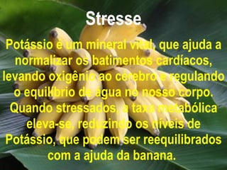 Stresse Potássio é um mineral vital, que ajuda a normalizar os batimentos cardíacos, levando oxigênio ao cérebro e regulando o equilíbrio de água no nosso corpo. Quando stressados, a taxa metabólica eleva-se, reduzindo os níveis de Potássio, que podem ser reequilibrados com a ajuda da banana.   