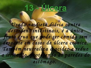 13 -  Úlcera Usada na dieta diária contra desordens intestinais, é a única fruta crua que pode ser comida sem desgaste em casos de úlcera crônica. Também neutraliza a acidez e reduz a irritação, protegendo as paredes do estômago.   