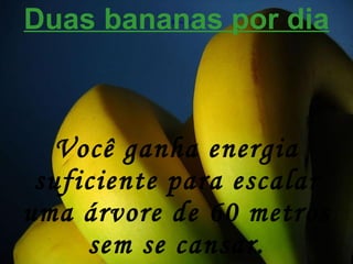 Duas bananas por dia Você ganha energia suficiente para escalar uma árvore de 60 metros sem se cansar. 