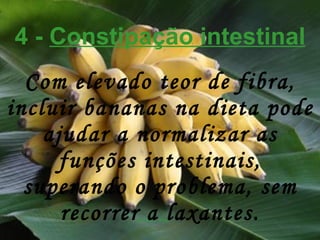 4 -  Constipação intestinal Com elevado teor de fibra, incluir bananas na dieta pode ajudar a normalizar as funções intestinais, superando o problema, sem recorrer a laxantes. 