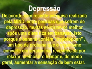 Depressão De acordo com recente pesquisa realizada pela MIND, entre pessoas que sofrem de depressão, muitas sentiram-se melhor após uma dieta rica em bananas. Isto porque a banana contém "trypotophan" , um tipo de proteína que o organismo converte em seratonina, reconhecida por relaxar, melhorar o humor e, de modo geral, aumentar a sensação de bem estar.   