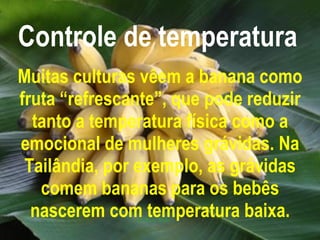 Controle de temperatura   Muitas culturas vêem a banana como fruta “refrescante”, que pode reduzir tanto a temperatura física como a emocional de mulheres grávidas. Na Tailândia, por exemplo, as grávidas comem bananas para os bebês nascerem com temperatura baixa. 