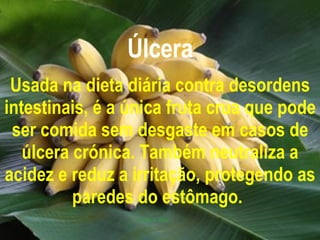 Úlcera Usada na dieta diária contra desordens intestinais, é a única fruta crua que pode ser comida sem desgaste em casos de úlcera crónica. Também neutraliza a acidez e reduz a irritação, protegendo as paredes do estômago.   