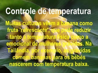Controle de temperatura   Muitas culturas vêem a banana como fruta 'refrescante', que pode reduzir tanto a temperatura física como a emocional de mulheres grávidas. Na Tailândia, por exemplo, as grávidas comem bananas para os bébés nascerem com temperatura baixa. 