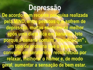 Depressão De acordo com recente pesquisa realizada pela MIND, entre pessoas que sofrem de depressão, muitas sentiram-se melhor após uma dieta rica em bananas. Isto porque a banana contém "trypotophan" , um tipo de proteína que o organismo converte em seratonina, reconhecida por relaxar, melhorar o humor e, de modo geral, aumentar a sensação de bem estar.   