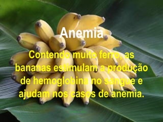 Anemia Contendo muito ferro, as bananas estimulam a produção de hemoglobina no sangue e ajudam nos casos de anemia. 
