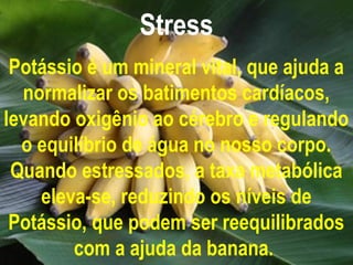 Stress
 Potássio é um mineral vital, que ajuda a
  normalizar os batimentos cardíacos,
levando oxigênio ao cérebro e regulando
  o equilíbrio de água no nosso corpo.
 Quando estressados, a taxa metabólica
    eleva-se, reduzindo os níveis de
 Potássio, que podem ser reequilibrados
        com a ajuda da banana.
 