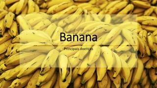 Banana
Principais doenças
 