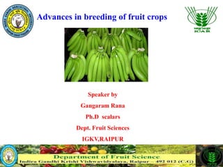 Advances in breeding of fruit crops
Speaker by
Gangaram Rana
Ph.D scalars
Dept. Fruit Sciences
IGKV,RAIPUR
 