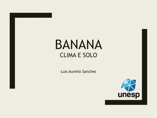 BANANA
CLIMA E SOLO
Luis Aurelio Sanches
 
