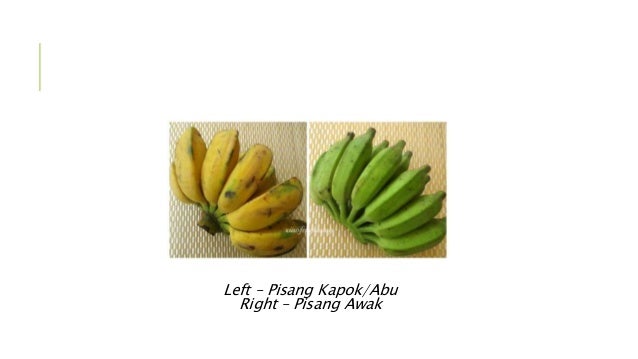 Banana Varieties in Malaysia