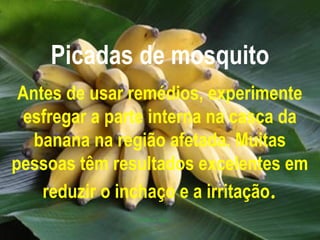 Picadas de mosquito
 Antes de usar remédios, experimente
  esfregar a parte interna na casca da
   banana na região afetada. Muitas
pessoas têm resultados excelentes em
    reduzir o inchaço e a irritação.
 