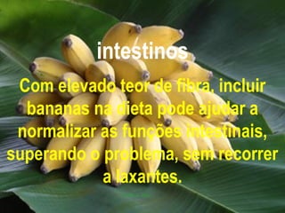 intestinos
 Com elevado teor de fibra, incluir
  bananas na dieta pode ajudar a
 normalizar as funções intestinais,
superando o problema, sem recorrer
            a laxantes.
 