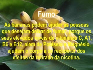 Fumo As bananas podem ajudar as pessoas que desejam deixar de fumar, porque os seus elevados níveis de vitaminas C, A1, B6 e B12, além de Potássio e Magnésio, ajudam o corpo a se recuperar dos efeitos da retirada da nicotina. 
