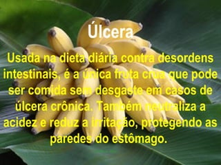 Úlcera
Usada na dieta diária contra desordens
intestinais, é a única fruta crua que pode
ser comida sem desgaste em casos de
úlcera crônica. Também neutraliza a
acidez e reduz a irritação, protegendo as
paredes do estômago.
 