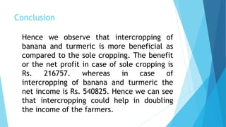 Conclusion
Hence we observe that intercropping of
banana and turmeric is more beneficial as
compared to the sole cropping. The benefit
or the net profit in case of sole cropping is
Rs. 216757. whereas in case of
intercropping of banana and turmeric the
net income is Rs. 540825. Hence we can see
that intercropping could help in doubling
the income of the farmers.
 