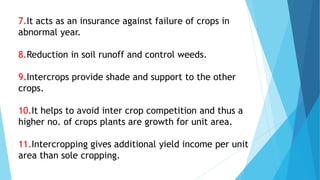 7.It acts as an insurance against failure of crops in
abnormal year.
8.Reduction in soil runoff and control weeds.
9.Intercrops provide shade and support to the other
crops.
10.It helps to avoid inter crop competition and thus a
higher no. of crops plants are growth for unit area.
11.Intercropping gives additional yield income per unit
area than sole cropping.
 