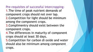 Pre-requisites of successful intercropping-
1.The time of peak nutrient demands of
component crops should not over lap.
2.Competition for light should be minimum
among the component crops.
3.Complimentry should exist between the
component crops.
4.The differences in maturity of component
crops should at least 30 days.
5.Competition for carbon di oxide and water
should also be minimum among component
crops.
 