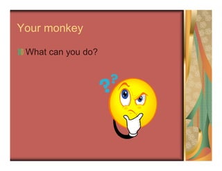 Your monkey
What can you do?
 