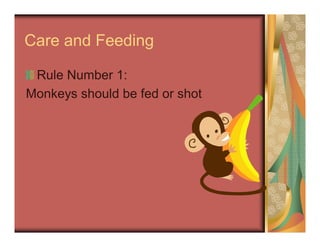 Care and Feeding
Rule Number 1:
Monkeys should be fed or shot
 