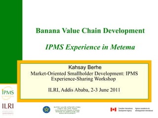 Banana Value Chain Development IPMS Experience in Metema Kahsay Berhe Market-Oriented Smallholder Development: IPMS Experience-Sharing Workshop   ILRI, Addis Ababa, 2-3 June 2011 