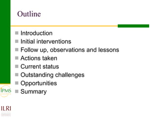 Banana value chain development: IPMS experience in Metema