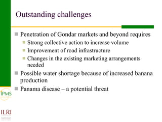 Banana value chain development: IPMS experience in Metema