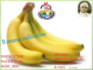 INSTRUCTOR:
Prof.S.P Singh
RGSC, BHU
SPEAKER:
PRIYANKA KUMARI
B.Sc(Ag) 4th year
R-13031 225-10-2016
 