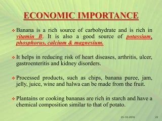  Banana is a rich source of carbohydrate and is rich in
vitamin B. It is also a good source of potassium,
phosphorus, calcium & magnesium.
 It helps in reducing risk of heart diseases, arthritis, ulcer,
gastroenteritis and kidney disorders.
 Processed products, such as chips, banana puree, jam,
jelly, juice, wine and halwa can be made from the fruit.
 Plantains or cooking bananas are rich in starch and have a
chemical composition similar to that of potato.
2225-10-2016
 