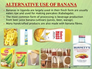 Bananas in Uganda are largely used in their fresh form are usually
eaten ripe and used for making pancakes (Kabalagala).
 The most common form of processing is beverage production
from beer juice banana cultivars (juices, beer, waragi).
 Many handcrafted products are also made with banana fibres.
2325-10-2016
 