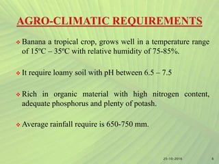  Banana a tropical crop, grows well in a temperature range
of 15ºC – 35ºC with relative humidity of 75-85%.
 It require loamy soil with pH between 6.5 – 7.5
 Rich in organic material with high nitrogen content,
adequate phosphorus and plenty of potash.
 Average rainfall require is 650-750 mm.
625-10-2016
 
