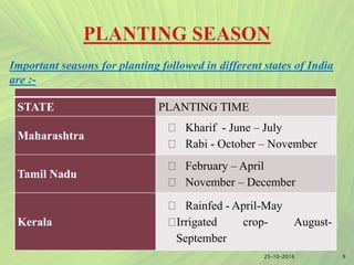 9
Important seasons for planting followed in different states of India
are :-
STATE PLANTING TIME
Maharashtra
Kharif - June – July
Rabi - October – November
Tamil Nadu
February – April
November – December
Kerala
Rainfed - April-May
Irrigated crop- August-
September
25-10-2016
 