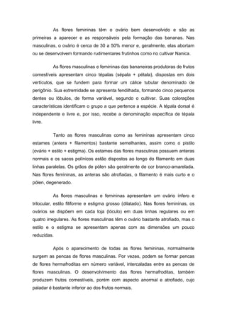 As flores femininas têm o ovário bem desenvolvido e são as
primeiras a aparecer e as responsáveis pela formação das bananas. Nas
masculinas, o ovário é cerca de 30 a 50% menor e, geralmente, elas abortam
ou se desenvolvem formando rudimentares frutinhos como no cultivar Nanica.
As flores masculinas e femininas das bananeiras produtoras de frutos
comestíveis apresentam cinco tépalas (sépala + pétala), dispostas em dois
vertículos, que se fundem para formar um cálice tubular denominado de
perigônio. Sua extremidade se apresenta fendilhada, formando cinco pequenos
dentes ou lóbulos, de forma variável, segundo o cultivar. Suas colorações
características identificam o grupo a que pertence a espécie. A tépala dorsal é
independente e livre e, por isso, recebe a denominação específica de tépala
livre.
Tanto as flores masculinas como as femininas apresentam cinco
estames (antera + filamentos) bastante semelhantes, assim como o pistilo
(ovário + estilo + estigma). Os estames das flores masculinas possuem anteras
normais e os sacos polínicos estão dispostos ao longo do filamento em duas
linhas paralelas. Os grãos de pólen são geralmente de cor branco-amarelada.
Nas flores femininas, as anteras são atrofiadas, o filamento é mais curto e o
pólen, degenerado.
As flores masculinas e femininas apresentam um ovário ínfero e
trilocular, estilo filiforme e estigma grosso (dilatado). Nas flores femininas, os
ovários se dispõem em cada loja (lóculo) em duas linhas regulares ou em
quatro irregulares. As flores masculinas têm o ovário bastante atrofiado, mas o
estilo e o estigma se apresentam apenas com as dimensões um pouco
reduzidas.
Após o aparecimento de todas as flores femininas, normalmente
surgem as pencas de flores masculinas. Por vezes, podem se formar pencas
de flores hermafroditas em número variável, intercaladas entre as pencas de
flores masculinas. O desenvolvimento das flores hermafroditas, também
produzem frutos comestíveis, porém com aspecto anormal e atrofiado, cujo
paladar é bastante inferior ao dos frutos normais.
 