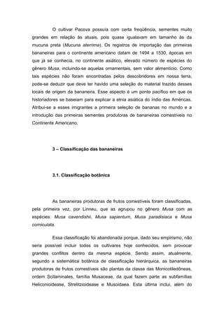 O cultivar Pacova possuía com certa freqüência, sementes muito
grandes em relação às atuais, pois quase igualavam em tamanho às da
mucuna preta (Mucuna aterrima). Os registros de importação das primeiras
bananeiras para o continente americano datam de 1494 a 1530, épocas em
que já se conhecia, no continente asiático, elevado número de espécies do
gênero Musa, incluindo-se aquelas ornamentais, sem valor alimentício. Como
tais espécies não foram encontradas pelos descobridores em nossa terra,
pode-se deduzir que deve ter havido uma seleção do material trazido desses
locais de origem da bananeira. Esse aspecto é um ponto pacífico em que os
historiadores se baseiam para explicar a etnia asiática do índio das Américas.
Atribui-se a esses imigrantes a primeira seleção de bananas no mundo e a
introdução das primeiras sementes produtoras de bananeiras comestíveis no
Continente Americano.
3 – Classificação das bananeiras
3.1. Classificação botânica
As bananeiras produtoras de frutos comestíveis foram classificadas,
pela primeira vez, por Linneu, que as agrupou no gênero Musa com as
espécies: Musa cavendishii, Musa sapientum, Musa paradisiaca e Musa
corniculata.
Essa classificação foi abandonada porque, dado seu empirismo, não
seria possível incluir todos os cultivares hoje conhecidos, sem provocar
grandes conflitos dentro da mesma espécie. Sendo assim, atualmente,
segundo a sistemática botânica de classificação hierárquica, as bananeiras
produtoras de frutos comestíveis são plantas da classe das Monicotiledôneas,
ordem Scitaminales, família Musaceae, da qual fazem parte as subfamílias
Heliconioidease, Strelitzioidease e Musoidaea. Esta última inclui, além do
 