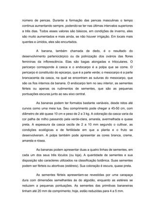 número de pencas. Durante a formação das pencas masculinas o tempo
continua aumentando sempre, podendo-se ter nas últimas intervalos superiores
a três dias. Todos esses valores são básicos, em condições de inverno, eles
são muito aumentados e mais ainda, se não houver irrigação. Em locais mais
quentes e úmidos, eles são encurtados.
A banana, também chamada de dedo, é o resultado do
desenvolvimento partenocárpico ou da polinização dos ovários das flores
femininas da inflorescência. Elas são bagas alongadas e triloculares. O
pericarpo corresponde à casca e o endocarpo é a polpa que se come. O
pericarpo é constituído do epicarpo, que é a parte verde; o mesocarpo é a parte
brancacenta da casca, na qual se encontram as suturas do mesocarpo, que
são os fios internos da banana. O endocarpo tem no seu interior, as sementes
férteis ou apenas os rudimentos de sementes, que são as pequenas
pontuações escuras junto ao seu eixo central.
As bananas podem ter formatos bastante variáveis, desde retos até
curvos como uma meia lua. Seu comprimento pode chegar a 45-50 cm, com
diâmetro de até quase 10 cm e peso de 2 a 3 kg. A coloração da casca varia da
cor palha de milho passando pela verde-clara, amarela, avermelhada e quase
preta. A espessura da casca oscila de 2 a 10 mm segundo o cultivar, as
condições ecológicas e de fertilidade em que a planta e o fruto se
desenvolveram. A polpa também pode apresentar as cores branca, creme,
amarela e rósea.
As bananas podem apresentar duas a quatro linhas de sementes, em
cada um dos seus três lóculos (ou loja). A quantidade de sementes e sua
disposição são caracteres utilizados na classificação botânica. Suas sementes
podem ser férteis ou abortivas (estéreis). Sua coloração é escura, quase preta.
As sementes férteis apresentam-se revestidas por uma carapaça
dura com dimensões semelhantes às do algodão, enquanto as estéreis se
reduzem a pequenas pontuações. As sementes das primitivas bananeiras
tinham até 20 mm de comprimento; hoje, estão reduzidas para 4 a 5 mm.
 