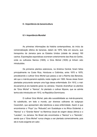 6 - Importância da bananicultura
6.1- Importância Mundial
As primeiras informações da história contemporânea, do início da
comercialização efetiva de bananas, datam de 1870, feita em escuna, que
transportou da Jamaica para os Estados Unidos (cidade de Jersey) 160
cachos. Exportações esporádicas ocorreram anteriormente das ilhas do Caribe,
onde os cultivares Nanica (1829), e Gros Michel (1835) já tinham sido
introduzidos.
Os primeiros plantios extensivos, na América Central, foram feitos
principalmente na Costa Rica, Honduras e Colômbia, entre 1870 e 1879,
prevalecendo o cultivar Gros Michel que passou a ser a Rainha das Bananas,
até que o mal-do-panamá explodiu nesta região em 1900. Novas áreas foram
plantadas procurando sempre uma fuga dessa enfermidade. Em 1912, o mal-
do-panamá já era bastante grave na Jamaica. Visando diversificar os plantios
de “Gros Michel” e “Nanica”, foi plantado o cultivar Mysore, que se admite
tenha sido introduzido em 1912, na República Dominicana.
O cultivar Gros Michel, pela alta suscetibilidade ao mal-do-panamá,
foi substituído, em todo o mundo, por diversos cultivares do subgrupo
Cavendish, que apresentam alta tolerância a essa enfermidade. Assim é que
encontramos o “Poyo” (ou “Robusta”) em Guadalupe e na África Ocidental; o
“Nanica” e o “Grande Naine” na Martinica (local de origem dessa última) e o
“Lacatan”, na Jamaica. No Brasil são encontrados o “Nanica” e o “Nanicão”,
sendo que o “Gros Michel” nunca chegou a ser plantado comercialmente, pois
ele é muito exigente em calor.
 