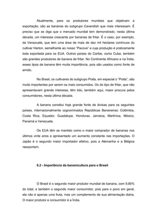 Atualmente, para os produtores mundiais que objetivam a
exportação, são as bananas do subgrupo Cavendish que mais interessam. É
preciso que se diga que o mercado mundial tem demonstrado, nesta última
década, um interesse crescente por bananas de fritar. É o caso, por exemplo,
da Venezuela, que tem uma área de mais de dez mil hectares contínuos do
cultivar Harton, semelhante ao nosso “Pacova” e cuja produção é praticamente
toda exportada para os EUA. Outros países do Caribe, como Cuba, também
são grandes produtores de banana de fritar. No Continente Africano e na Índia,
esses tipos de banana têm muita importância, pois são usados como fonte de
amido.
No Brasil, os cultivares do subgrupo Prata, em especial o “Prata”, são
muito importantes por serem os mais consumidos. Os do tipo de fritar, que não
apresentavam grande interesse, têm tido, também aqui, maior procura pelos
consumidores, nesta última década.
A banana constitui hoje grande fonte de divisas para os seguintes
países, internacionalmente cognominados Repúblicas Bananeiras: Colômbia,
Costa Rica, Equador, Guadalupe, Honduras, Jamaica, Martinica, México,
Panamá e Venezuela.
Os EUA têm se mantido como o maior comprador de bananas nos
últimos vinte anos e apresentado um aumento constante nas importações. O
Japão é o segundo maior importador efetivo, pois a Alemanha e a Bélgica
reexportam.
6.2 - Importância da bananicultura para o Brasil
O Brasil é o segundo maior produtor mundial de banana, com 9,80%
do total, e também o segundo maior consumidor, pois para o povo em geral,
ela não é apenas uma fruta, mas um complemento de sua alimentação diária.
O maior produtor e consumidor é a Índia.
 