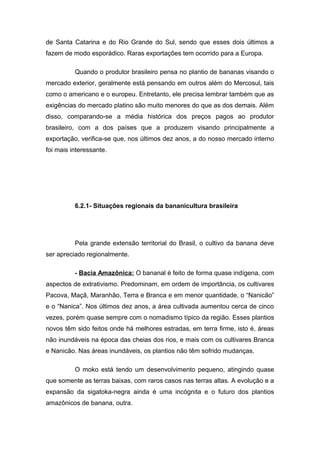 de Santa Catarina e do Rio Grande do Sul, sendo que esses dois últimos a
fazem de modo esporádico. Raras exportações tem ocorrido para a Europa.
Quando o produtor brasileiro pensa no plantio de bananas visando o
mercado exterior, geralmente está pensando em outros além do Mercosul, tais
como o americano e o europeu. Entretanto, ele precisa lembrar também que as
exigências do mercado platino são muito menores do que as dos demais. Além
disso, comparando-se a média histórica dos preços pagos ao produtor
brasileiro, com a dos países que a produzem visando principalmente a
exportação, verifica-se que, nos últimos dez anos, a do nosso mercado interno
foi mais interessante.
6.2.1- Situações regionais da bananicultura brasileira
Pela grande extensão territorial do Brasil, o cultivo da banana deve
ser apreciado regionalmente.
- Bacia Amazônica: O bananal é feito de forma quase indígena, com
aspectos de extrativismo. Predominam, em ordem de importância, os cultivares
Pacova, Maçã, Maranhão, Terra e Branca e em menor quantidade, o “Nanicão”
e o “Nanica”. Nos últimos dez anos, a área cultivada aumentou cerca de cinco
vezes, porém quase sempre com o nomadismo típico da região. Esses plantios
novos têm sido feitos onde há melhores estradas, em terra firme, isto é, áreas
não inundáveis na época das cheias dos rios, e mais com os cultivares Branca
e Nanicão. Nas áreas inundáveis, os plantios não têm sofrido mudanças.
O moko está tendo um desenvolvimento pequeno, atingindo quase
que somente as terras baixas, com raros casos nas terras altas. A evolução e a
expansão da sigatoka-negra ainda é uma incógnita e o futuro dos plantios
amazônicos de banana, outra.
 