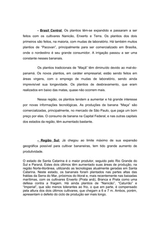- Brasil Central: Os plantios têm-se expandido e passaram a ser
feitos com os cultivares Nanicão, Enxerto e Terra. Os plantios dos dois
primeiros são feitos, na maioria, com mudas de laboratório. Há também muitos
plantios de “Pacovan”, principalmente para ser comercializado em Brasília,
onde o nordestino é seu grande consumidor. A irrigação passou a ser uma
constante nesses bananais.
Os plantios tradicionais de “Maçã” têm diminuído devido ao mal-do-
panamá. Os novos plantios, em caráter empresarial, estão sendo feitos em
áreas virgens, com o emprego de mudas de laboratório, sendo ainda
imprevisível sua longevidade. Os plantios de desbravamento, que eram
realizados em baixo das matas, quase não ocorrem mais.
Nessa região, os plantios tendem a aumentar e há grande interesse
por novas informações tecnológicas. As produções da banana “Maça” são
comercializadas, principalmente, no mercado de São Paulo, que paga um bom
preço por elas. O consumo de banana na Capital Federal, e nas outras capitais
dos estados da região, têm aumentado bastante.
- Região Sul: Já chegou ao limite máximo de sua expansão
geográfica possível para cultivar bananeiras, tem tido grande aumento de
produtividade.
O estado de Santa Catarina é o maior produtor, seguido pelo Rio Grande do
Sul e Paraná. Estes dois últimos têm aumentado suas áreas de produção, na
região Norte-litorânea, utilizando as tecnologias atualmente geradas em Santa
Catarina. Neste estado, os bananais foram plantados nas partes altas das
fraldas da Serra do Mar, próximos do litoral e, mais recentemente nas baixadas
marítimas, com os cultivares Enxerto (Prata anã), Branca e Prata como uma
defesa contra a friagem. Há ainda plantios de “Nanicão”, “Caturrão” e
“Imperial”, que são menos tolerantes ao frio, o que em parte, é compensado
pela altura dos dois últimos cultivares, que chegam a 6 e 7 m. Ambos, porém,
apresentam o defeito do ciclo de produção ser mais longo.
 