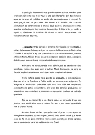 A produção é consumida nos grandes centros sulinos, mas boa parte
é também remetida para São Paulo e até Belo Horizonte. Em determinados
anos, as bananas alí colhidas, no verão, são exportadas para o Uruguai. Os
bons preços que os produtores têm obtido e o aumento de consumo,
estimularam os bananicultores a ampliar seus plantios, empregando os mais
recentes conhecimento tecnológicos bananícolas. Infelizmente, a região é
sujeita a problemas de excesso de chuvas e baixas temperaturas, com
ocasionais chuvas de pedra.
- Nordeste: Onde persiste o sistema de irrigação por inundação, o
cultivo de banana é feito nos antigos perímetros do Departamento Nacional de
Combate à Seca (DNOCS), com predominância dos cultivares Nanica, Nanicão
e Grande Naine. Nestas áreas, o nível tecnológico é bastante baixo, a despeito
de todo apoio que a entidade cooperativista lhes proporciona.
No Ceará, há novos plantios feitos com mudas de laboratório e alta
tecnologia, muitos dos quais com o cultivar Maçã. Entretanto, na serra de
Baturité os plantios continuam sendo com as tecnologias tradicionais.
Como reflexo desse novo padrão de produção, a comercialização
dos mercados de Fortaleza e Belém estão se tornando mais exigentes. Os
marginais e tradicionais produtores têm visto sua fruta ser desprezada
comercialmente pelos consumidores, em favor das bananas produzidas por
proprietários que evoluíram e passaram a apresentar produtos de primeira
qualidade.
No sul do Maranhão e do Ceará estão se formando áreas com
plantios bem tecnificados, com o cultivar Pacovan e, em menor quantidade,
com o “Grande Naine”.
As ricas terras aluviais, que podem ser irrigadas com as águas da
barragem de cabeceira do rio Açu (RN), onde o clima é bem seco e que distam
cerca de 40 km do porto marítimo, representam as melhores áreas agrícolas
para a produção de bananas no Nordeste e no Brasil.
 